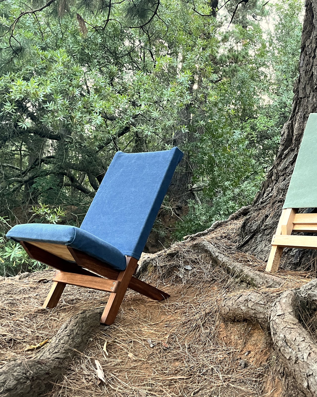 Kiaat folding chair with navy canvas beside a beech and olive chair at a pine tree